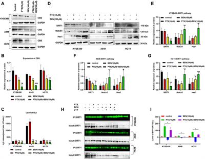 Benserazide, a cystathionine beta-synthase (CBS) inhibitor, potentially enhances the anticancer effects of paclitaxel via inhibiting the S-sulfhydration of SIRT1 and the HIF1-α/VEGF pathway